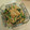 しょこたんママ's cooksnap of when they made ほうれん草の白胡麻和え.