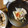 ぬたとのた's cooksnap of when they made 鰯のゴマ酢漬け.
