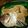 chibiカナ's cooksnap of when they made 鯛のあら煮.