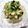 nongk's cooksnap of when they made ☆さっぱり☆夏野菜のだし☆.