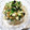 nongk's cooksnap of when they made ☆さっぱり☆夏野菜のだし☆.