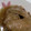 ちきちーこ's cooksnap of when they made 焼き肉のﾀﾚでﾋﾟﾘ辛手羽先と根菜の煮物.
