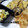 sattin1109's cooksnap of when they made 天つゆ・天丼のたれの作り方.