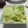 マチコ1017's cooksnap of when they made 牛○の☆やみつき塩キャベツ☆.