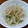 YCHキッチン's cooksnap of when they made ＊大根と胡瓜とハムのサラダ＊.