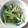 えみ0131's cooksnap of when they made しめじと小松菜の白だし煮.