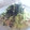 laie's cooksnap of when they made ささみとキャベツの胡麻和え.