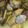 りゅーひろ's cooksnap of when they made アサリの酒蒸し.