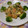 さとっち★'s cooksnap of when they made 豚ニラたまとトマト炒め✿.