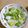 もとこさんのはたけ's cooksnap of when they made いつも食べてる白菜サラダ.