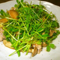 剣のしろくま's cooksnap of when they made 栄養たっぷり☆豆苗と豚肉の醤油炒め.