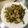 えつおくん's cooksnap of when they made 豚肉とゴーヤの生姜炒め.