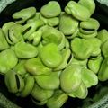 momo1103's cooksnap of when they made ふっくらシワなし*そら豆の茹で方*.