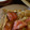 elingo39's cooksnap of when they made トマトと玉子のオイスターソース炒め♬.