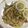 mamia0304's cooksnap of when they made レモンとオイスターソースの焼きうどん.