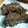 cholo23144's cooksnap of when they made やわらかスペアリブ　和風オニオンソース.