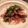 週末だけシェフ's cooksnap of when they made ワインにもピッタリ！いかの酒盗炒め.
