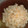 ぴろエース's cooksnap of when they made ささみとごぼうの混ぜご飯.