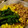 イラスト７'s cooksnap of when they made 定番だけどうまい！とりそぼろ.