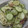 芋の葉's cooksnap of when they made 大好評みょうが＆きゅうりの切干だいこん.
