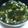 みーたろまま's cooksnap of when they made オクラとわかめの梅風味スープ.