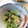 まーしの's cooksnap of when they made 小松菜とカニカマの和え物.