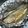 らりょう's cooksnap of when they made 鮭の簡単ホイル焼き.