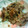 カクベル's cooksnap of when they made 豚のしょうが焼き.