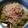 こずぅ粘土's cooksnap of when they made できるよ☆焼きなす☆.