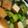kisaragicats's cooksnap of when they made 豚＆厚揚げ＆青梗菜の甘酢炒め.