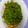 mikapn's cooksnap of when they made いんげんのゴマ和え.