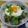 June-rain's cooksnap of when they made 我が家のうなぎご飯。.