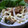 fuwamocos's cooksnap of when they made 鰹節と新玉ねぎの和風サラダ.