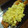 サリィ's cooksnap of when they made 鮭のタママヨのせ♪.