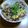 たりみん's cooksnap of when they made 牛玉ひじき混ぜご飯。.