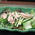 大西あけみ's cooksnap of when they made ヘルシー！　新玉ねぎ＆ささみのサラダ.