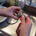kookuro's cooksnap of when they made 簡単！えびの殻むきのアイデア.
