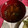 クック49L4Ho☆'s cooksnap of when they made SDGs にも！おでんの余り汁で即席汁物.