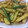 mrclover's cooksnap of when they made 新玉ねぎと新じゃがの生姜炒め.