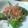 元エスパー伊東's cooksnap of when they made 簡単！ウマウマ★ししとう炒め.