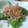 元エスパー伊東's cooksnap of when they made 簡単！ウマウマ★ししとう炒め.