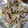 K/S's cooksnap of when they made 簡単！豚のしょうが焼き.