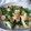 K/S's cooksnap of when they made 簡単☆もう一品のほうれん草炒め.