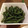 Tee24's cooksnap of when they made いんげんの胡麻和え.