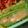 ぷちゃごん's cooksnap of when they made 絹さやをスィートチリマヨで♪.