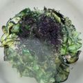 がちャぴんとむッく's cooksnap of when they made なすときゅうりの浅漬け風サラダ.