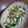 まゆピン's cooksnap of when they made 青梗菜とエビと豆腐のあんかけ.