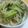 ４you's cooksnap of when they made もやしときゅうりのナムル.