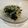 ころとまと's cooksnap of when they made 簡単5分で副菜✿ニラともやしのナムル.