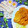 ♡みきママ♡'s cooksnap of when they made ☆豚のしょうが焼き☆.